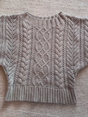 Express Taupe Cable Knit Short Sleeve Sweater
